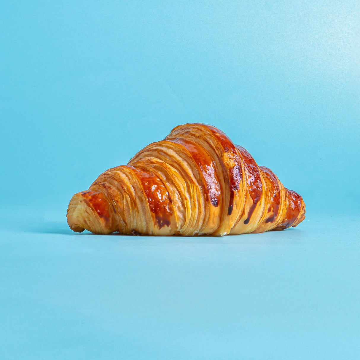 Butter Croissant