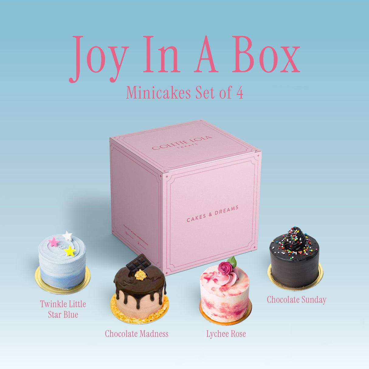 Joy in a Box - Individual Cake Series