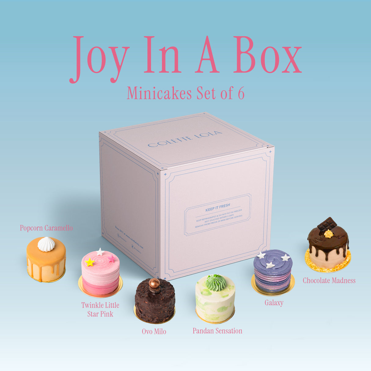 Joy in a Box - Individual Cake Series