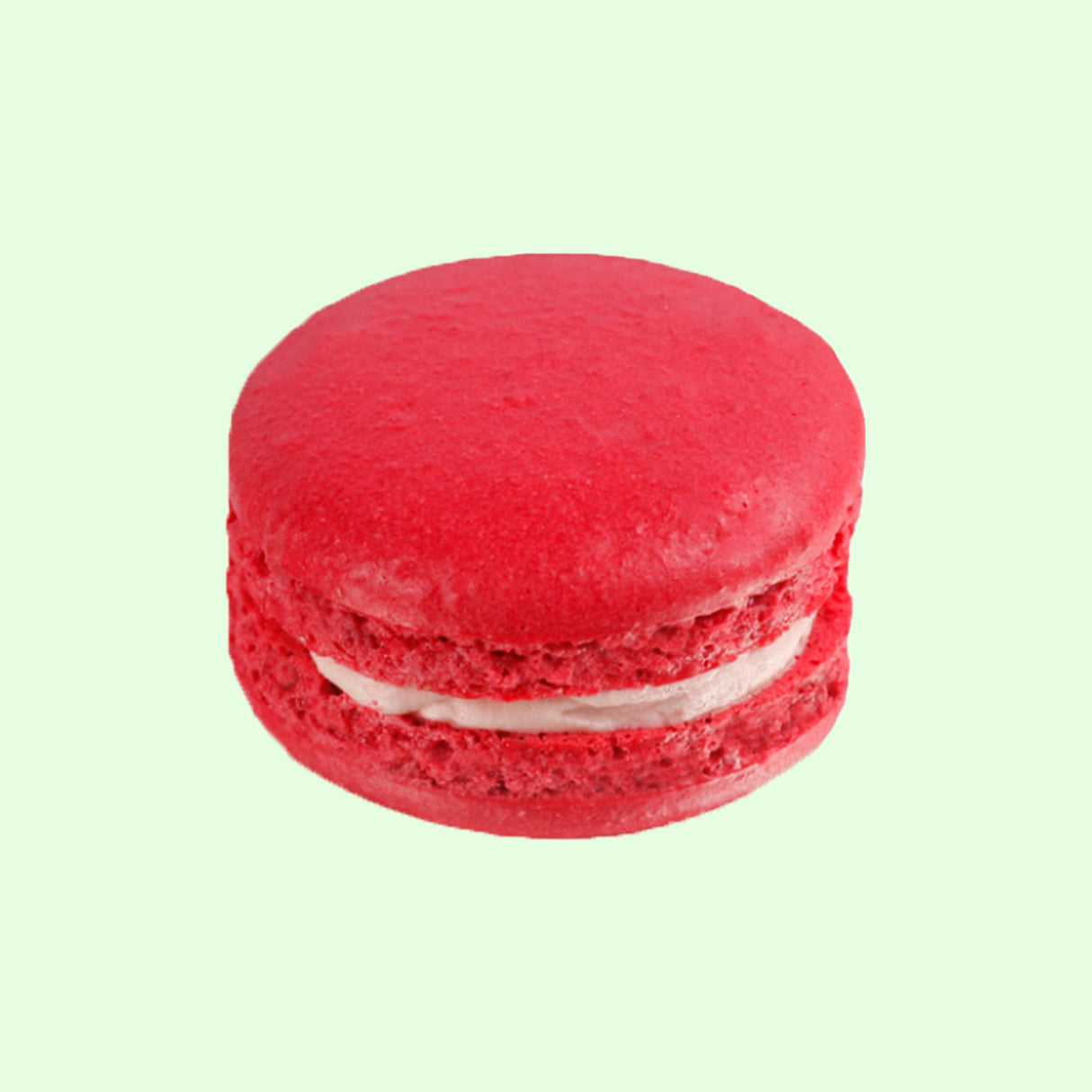 Kembang Sepatu & Raspberry Macaron Tunggal