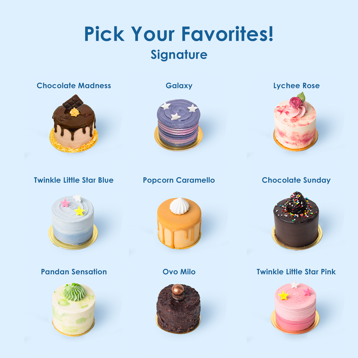Wonderful Mini Cake Bundle 2