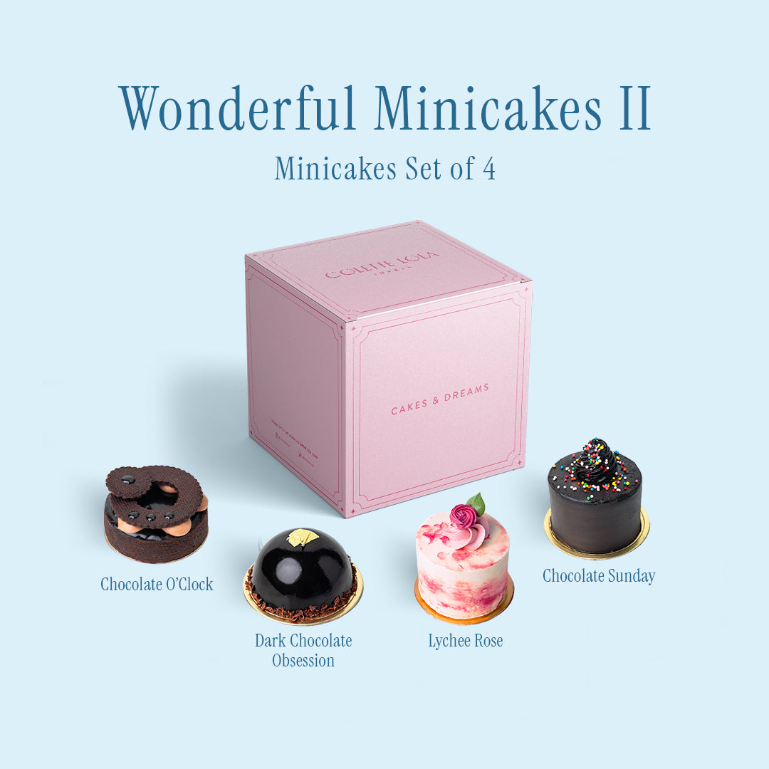 Wonderful Mini Cake Bundle 2