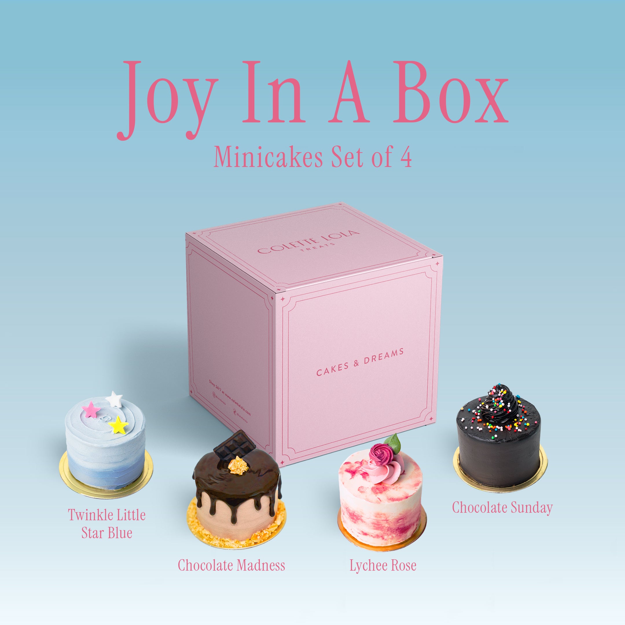 Joy in a Box - Individual Cake Series