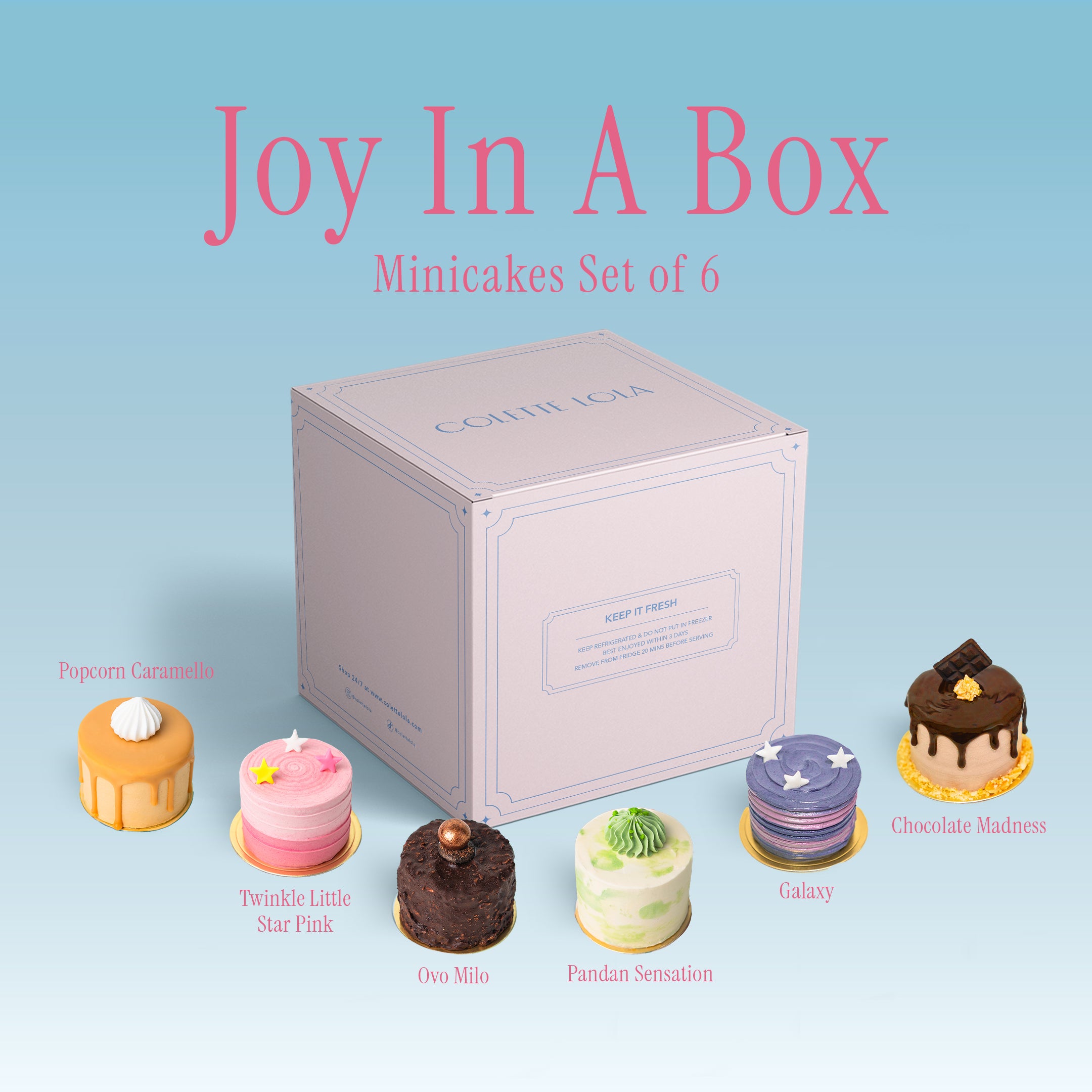 Joy in a Box - Individual Cake Series