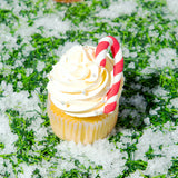 Holiday Cupcakes