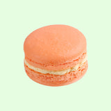 Macaron Mangga &amp; Markisa Single